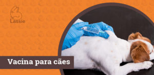 Vacina para cães