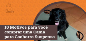 10 Motivos para você comprar uma Cama para Cachorro Suspensa