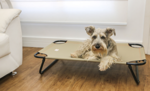 Cama Suspensa Brandina Lassie