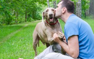 blog-pai-de-cachorro