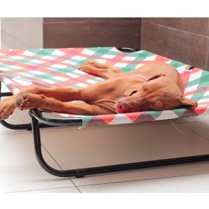 Cama para Cachorro ou Gato Suspensa Tamanho G - Brandina