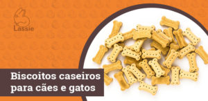 Biscoitos caseiros para cães e gatos