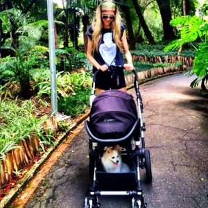 cama-pet-cachorro-gato-bebe-passeio-carrinho