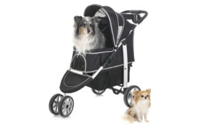 Carrinho de bebê para facilitar o passeio junto com os cães