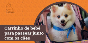 Carrinho de bebê para passear junto com os cães