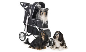 Carrinho de bebê para passear junto com os cães