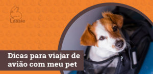 Dicas para viajar de avião com meu pet