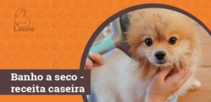 Banho a seco - receita caseira