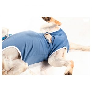 cama-pet-cachorro-gato-coelho-brandina-lassie.castração-roupa-1
