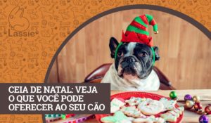 Ceia de Natal - Veja o que você pode oferecer ao seu cão