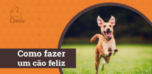 Card Blog Como fazer um cão feliz