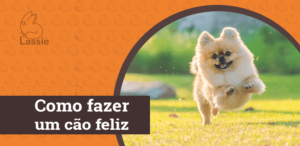 Como fazer um cão feliz
