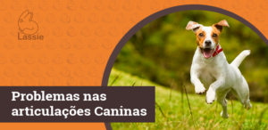Articulação cachorro