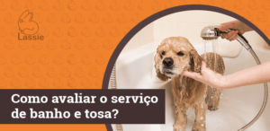 Como avaliar o serviço de banho e tosa?