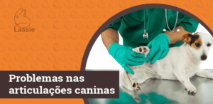Problemas articulares em cães