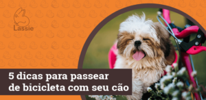 5 dicas para passear de bicicleta com seu cão