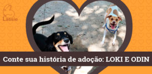 Conte a sua Historia de Adoção - Loki e Odin