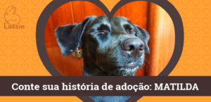 Conheça a história de adoção da Matilda