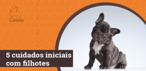 5 cuidados iniciais com filhotes de cães